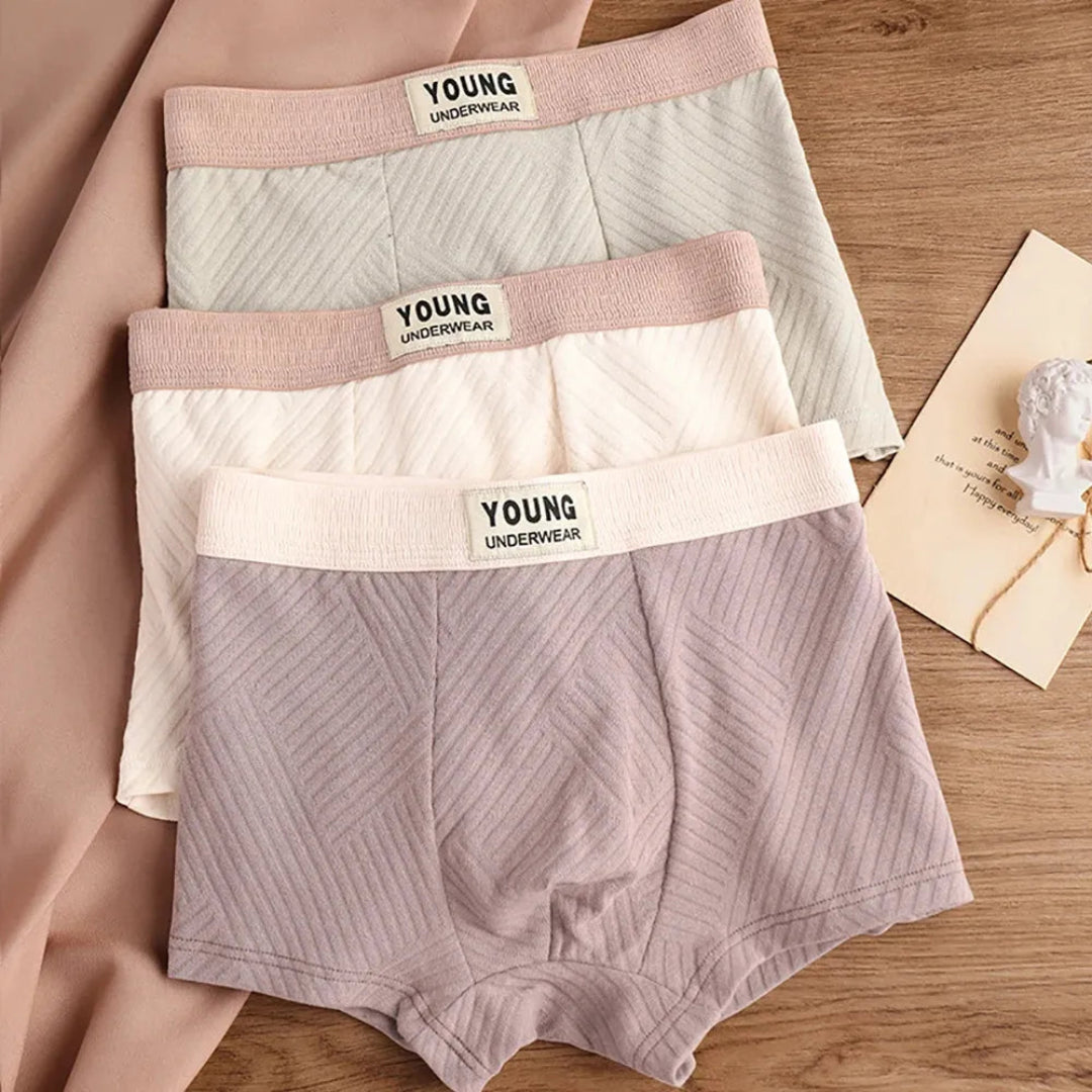 3-Pack Antibacterial Cotton Men's Boxers Artisio