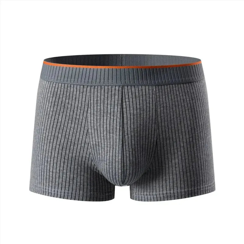 Men's Striped Cotton Boxer Briefs Artisio