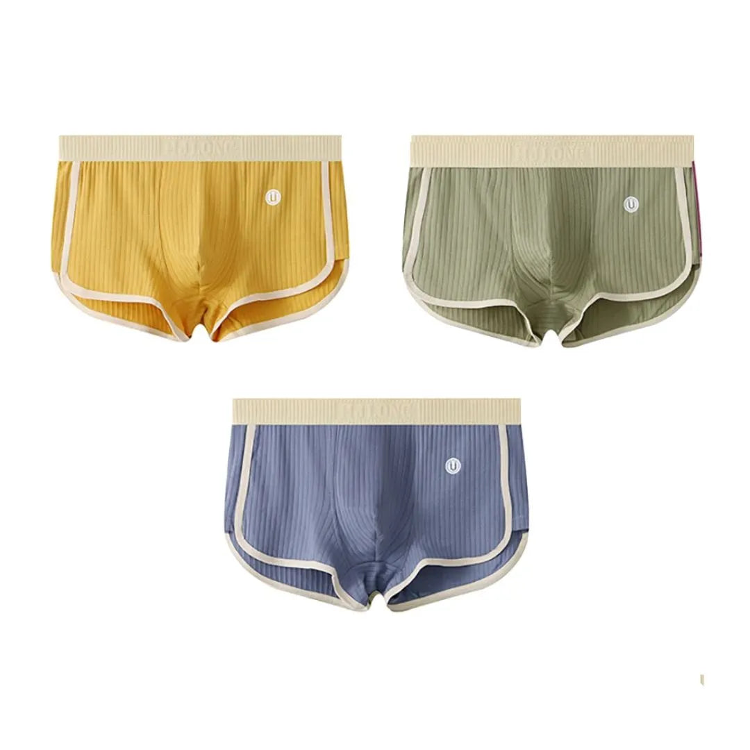 Men’s 3-Pack Ribbed Cotton Briefs Artisio
