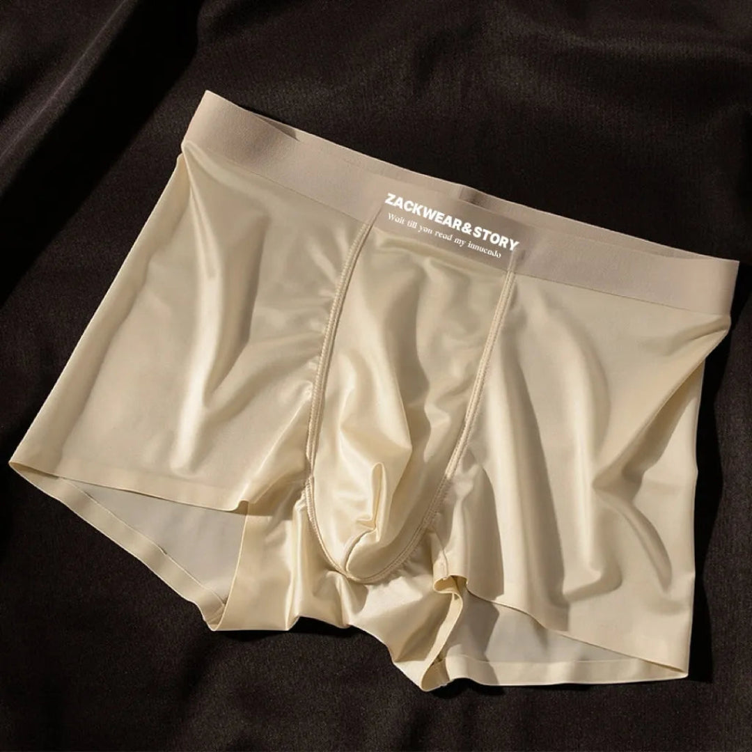 Zack Ice Silk Stretch Boxer Briefs Artisio