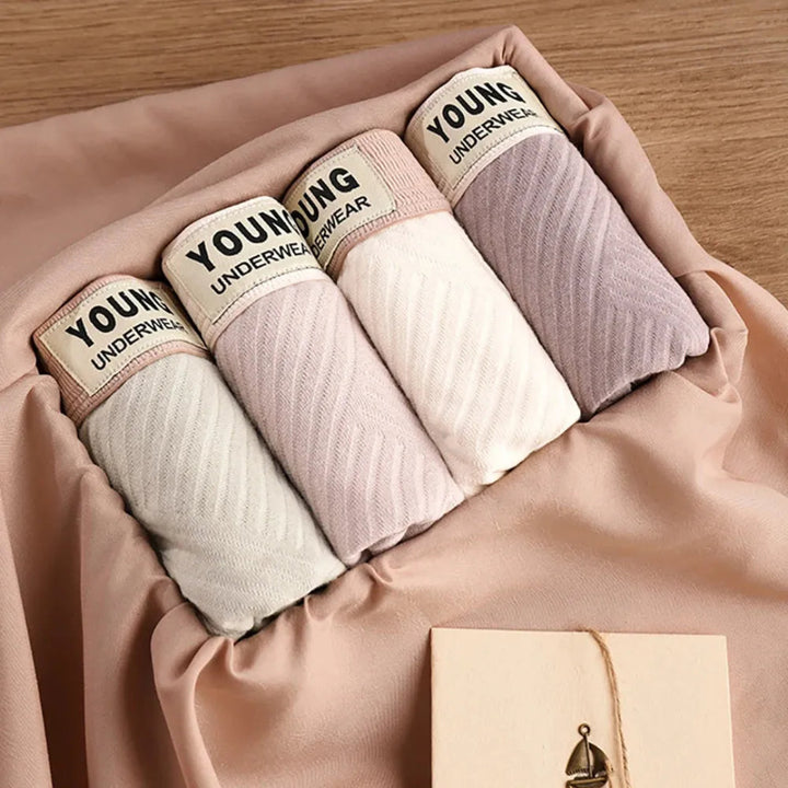 3-Pack Antibacterial Cotton Men's Boxers