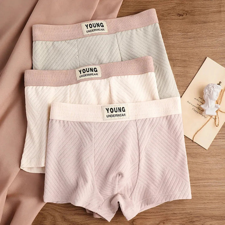3-Pack Antibacterial Cotton Men's Boxers