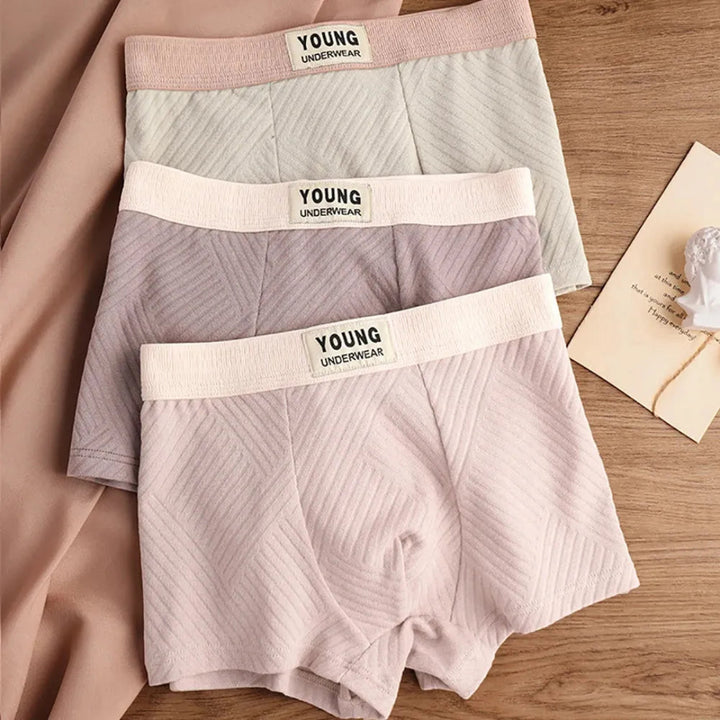 3-Pack Antibacterial Cotton Men's Boxers