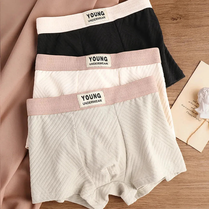 3-Pack Antibacterial Cotton Men's Boxers