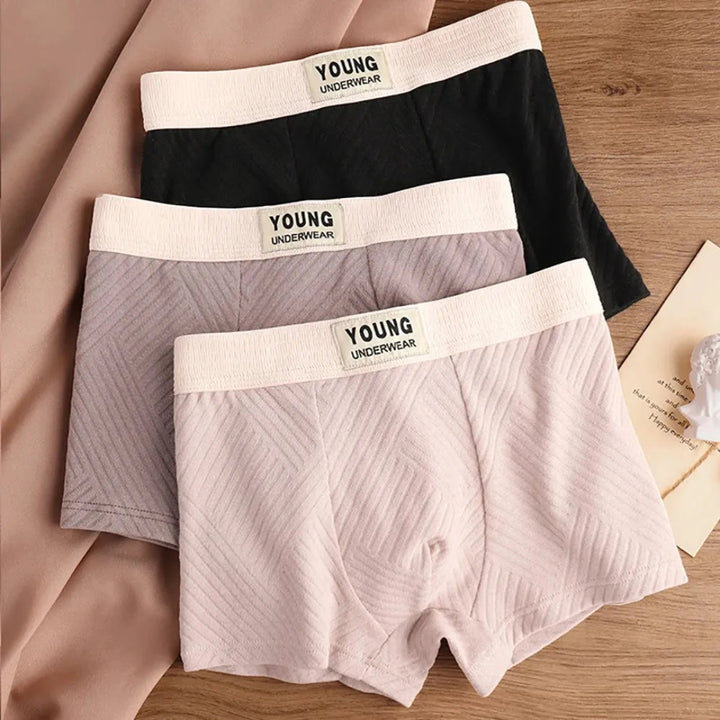 3-Pack Antibacterial Cotton Men's Boxers