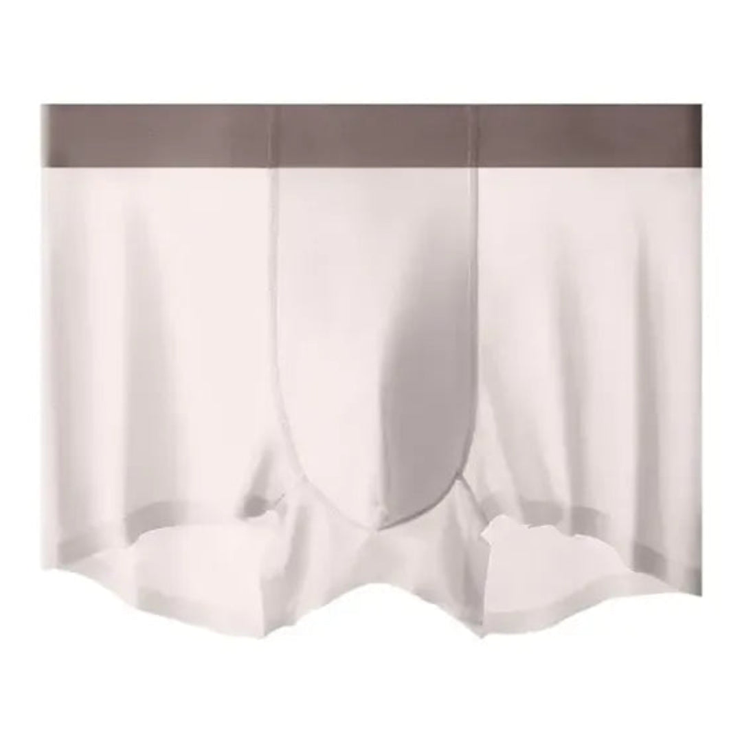 4-Piece Ice Silk Antibacterial Men's Briefs