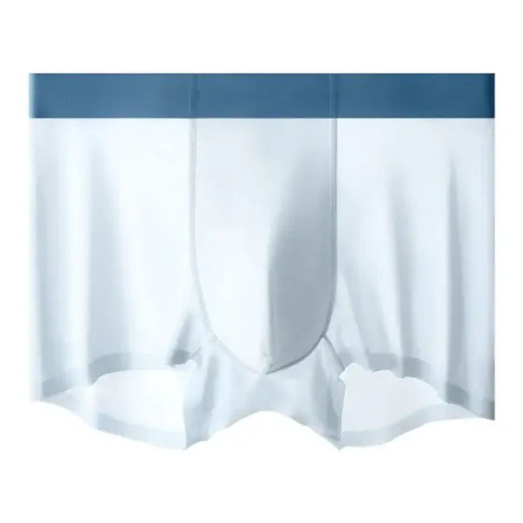 4-Piece Ice Silk Antibacterial Men's Briefs