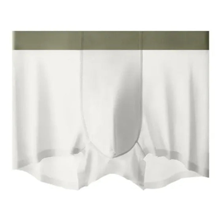4-Piece Ice Silk Antibacterial Men's Briefs