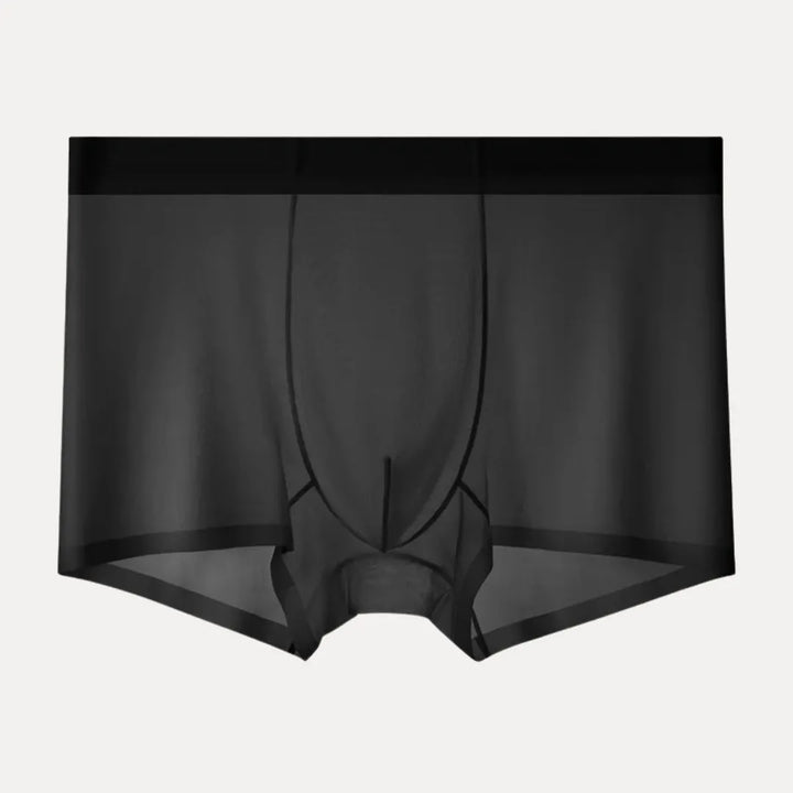 4-Piece Ultra-Thin Sheer Men's Boxer Briefs