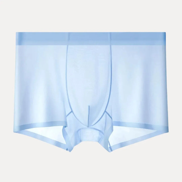 4-Piece Ultra-Thin Sheer Men's Boxer Briefs