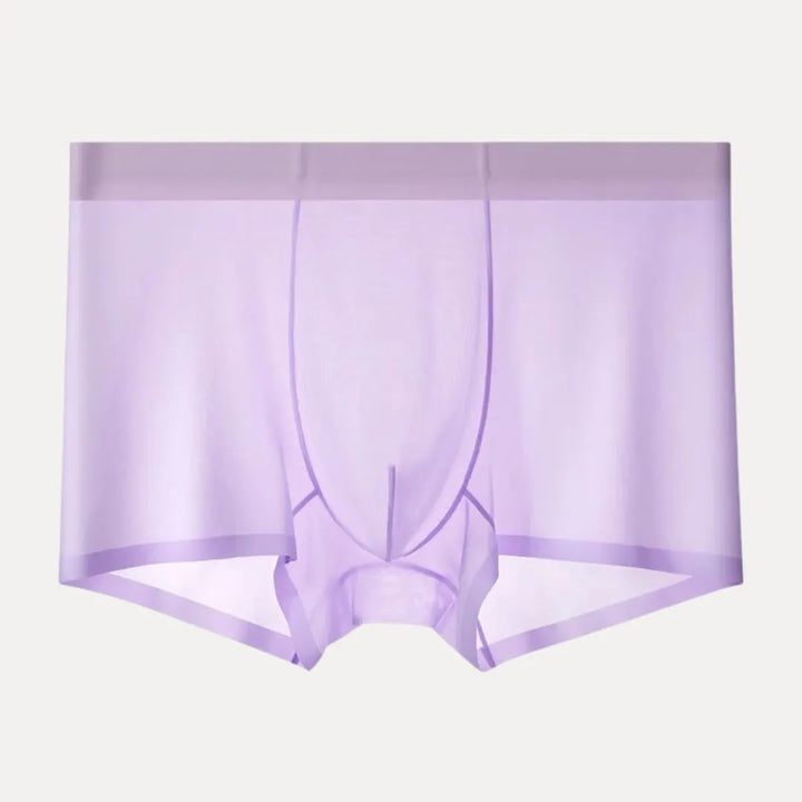 4-Piece Ultra-Thin Sheer Men's Boxer Briefs
