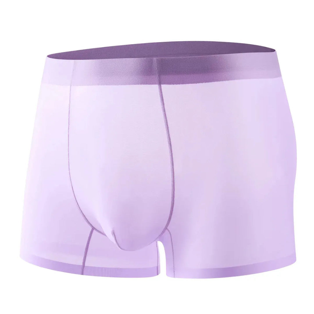 4-Piece Ultra-Thin Sheer Men's Boxer Briefs