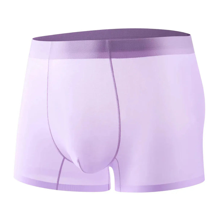 4-Piece Ultra-Thin Sheer Men's Boxer Briefs