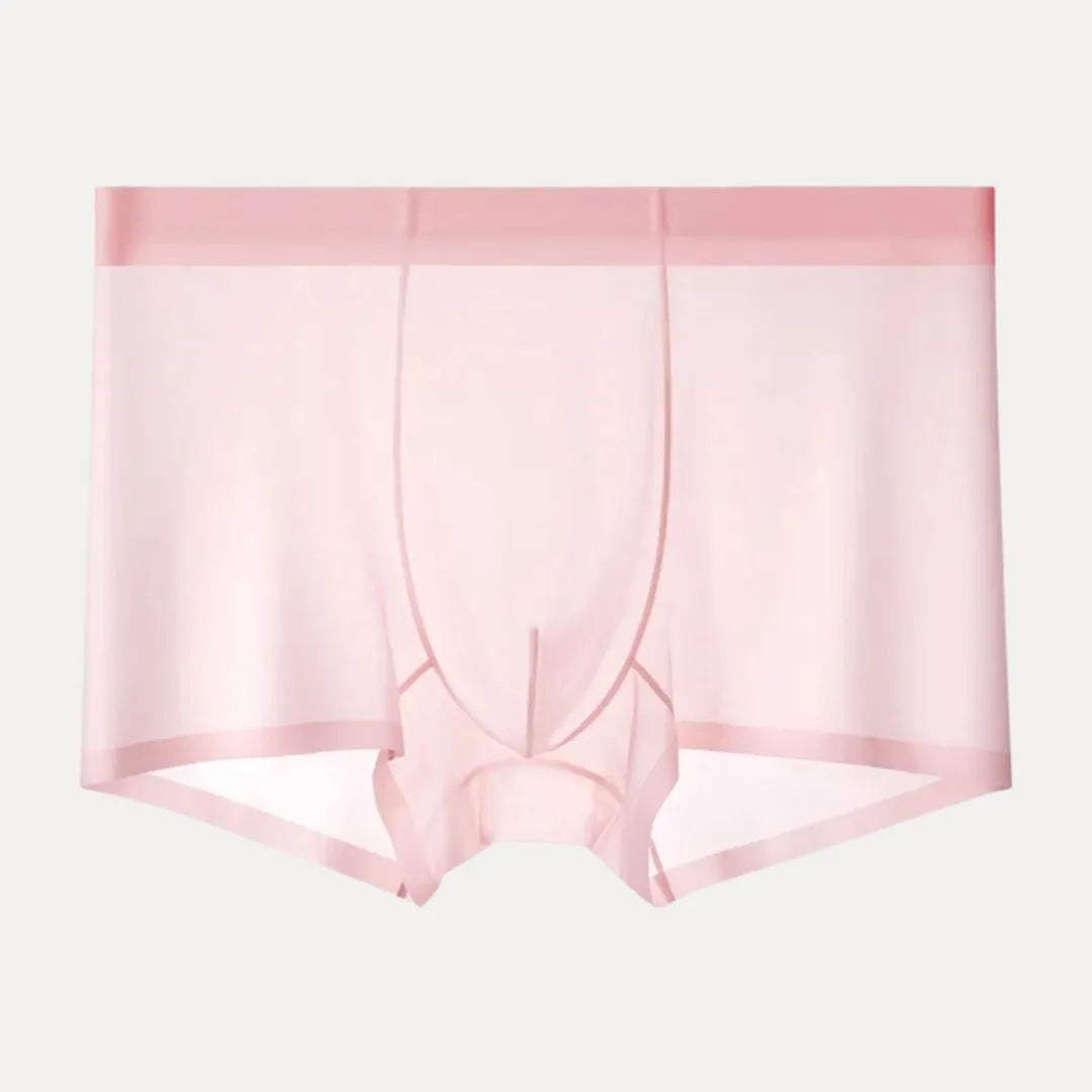 4-Piece Ultra-Thin Sheer Men's Boxer Briefs
