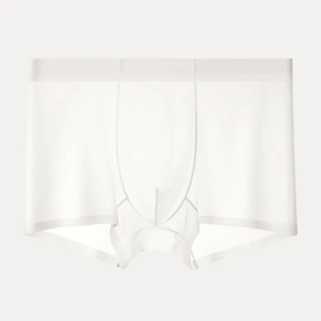 4-Piece Ultra-Thin Sheer Men's Boxer Briefs