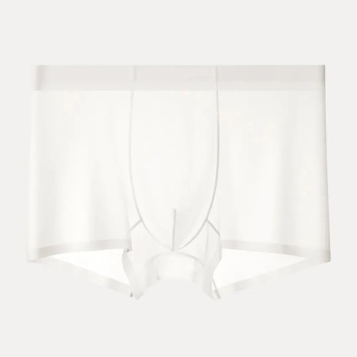 4-Piece Ultra-Thin Sheer Men's Boxer Briefs