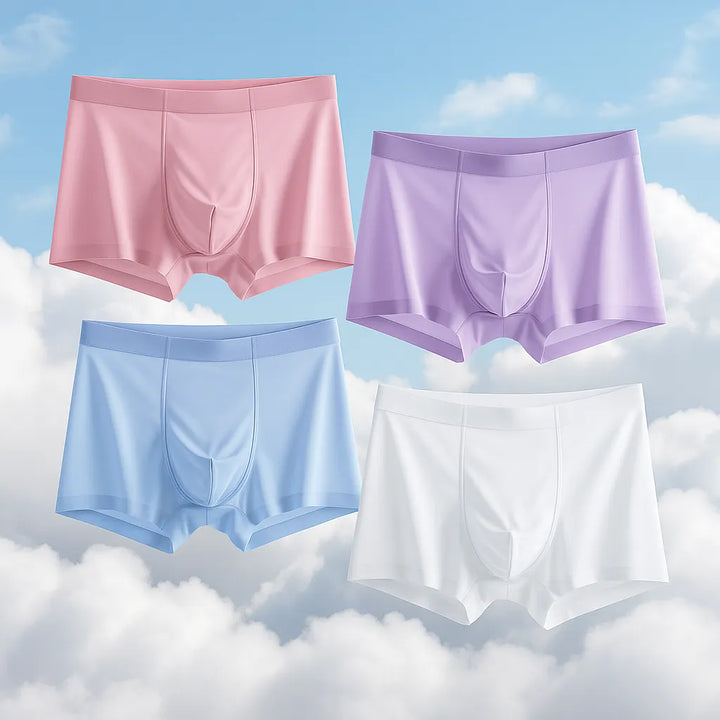 4-Piece Ultra-Thin Sheer Men's Boxer Briefs