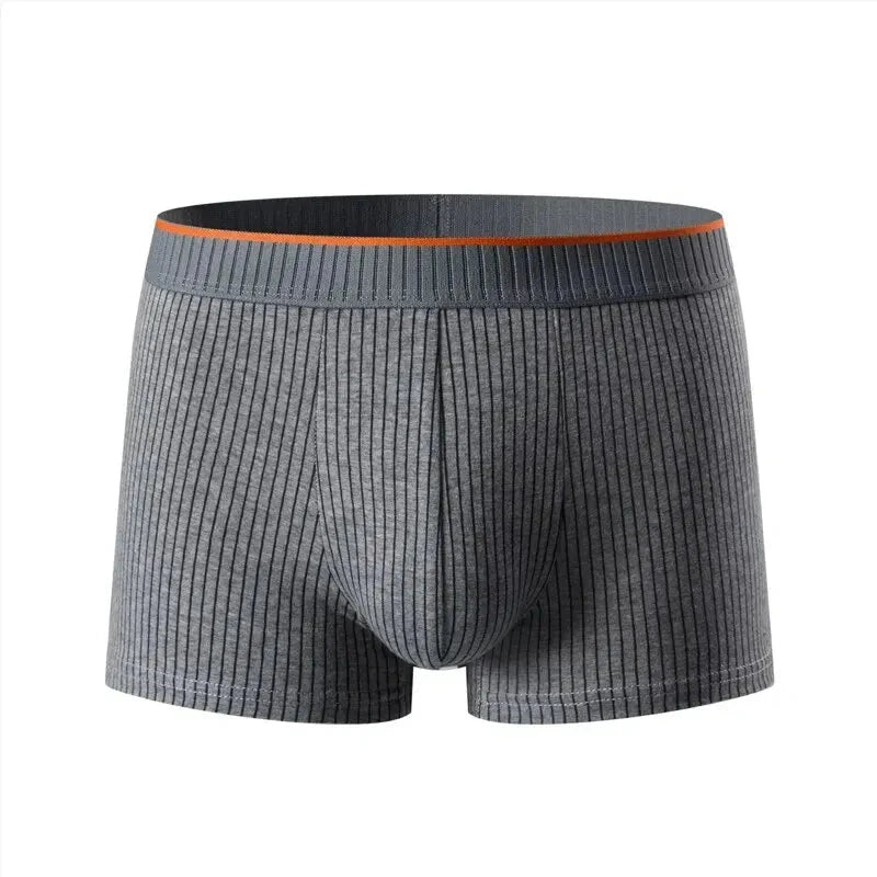 Men's Striped Cotton Boxer Briefs Artisio