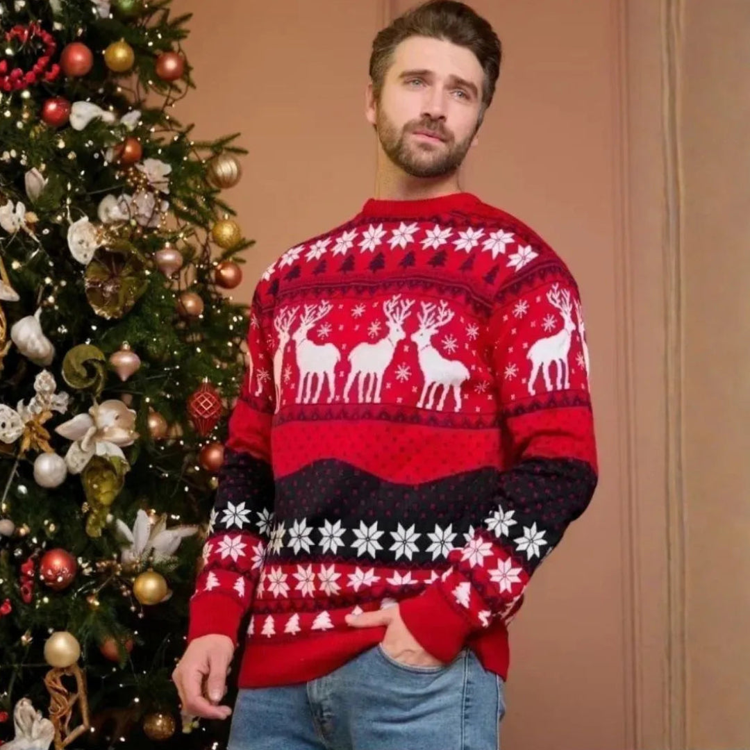 Family Christmas Sweaters Artisio