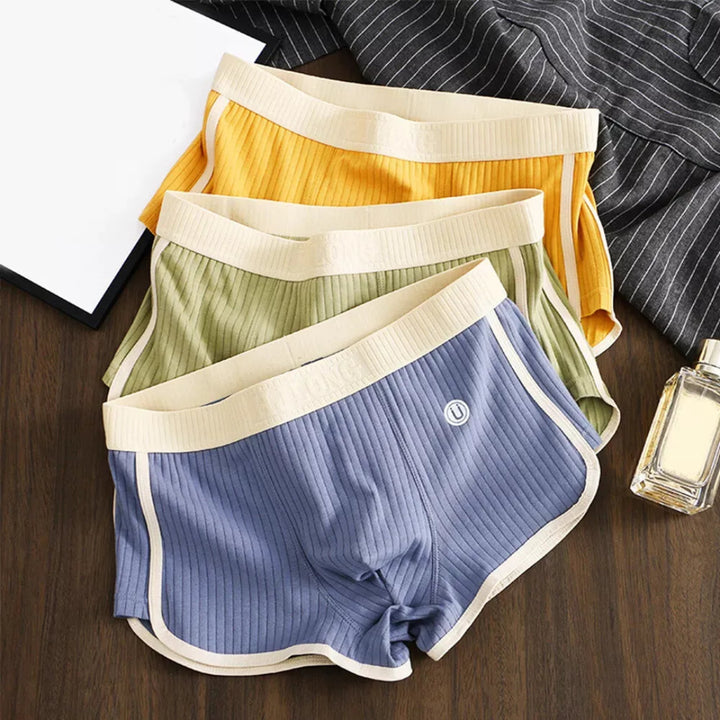 Men’s 3-Pack Ribbed Cotton Briefs Artisio