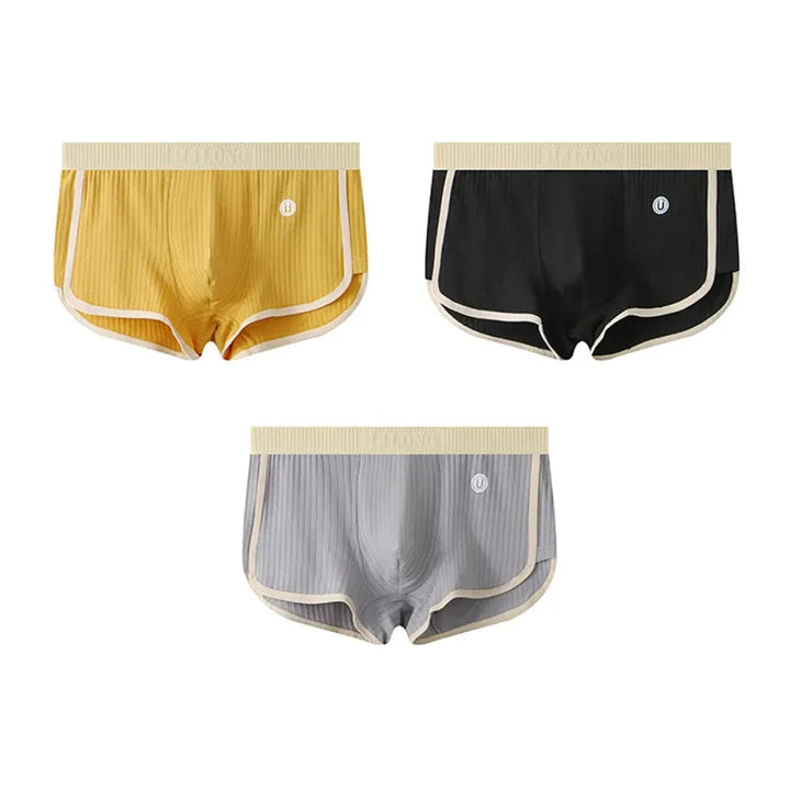 Men’s 3-Pack Ribbed Cotton Briefs Artisio