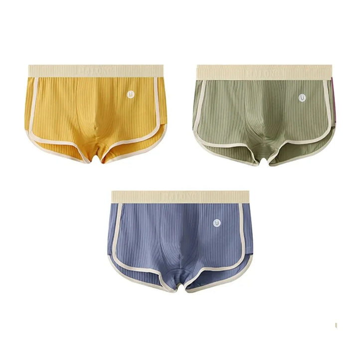 Men’s 3-Pack Ribbed Cotton Briefs Artisio