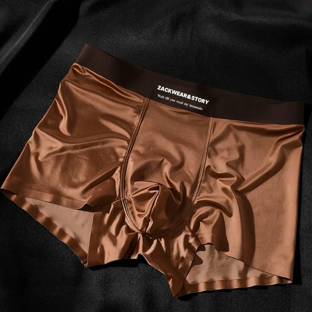 Zack Ice Silk Stretch Boxer Briefs