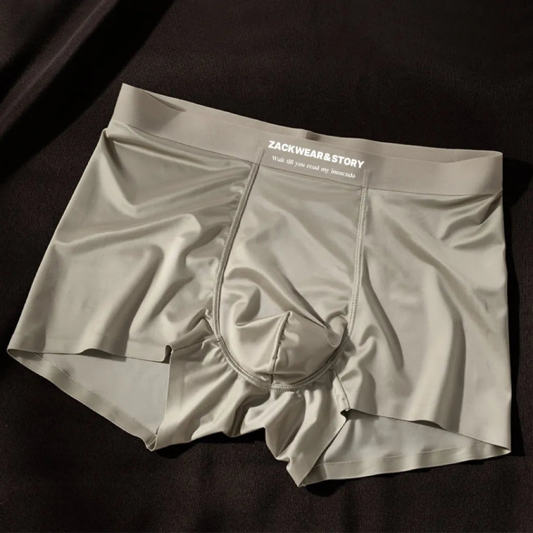 Zack Ice Silk Stretch Boxer Briefs
