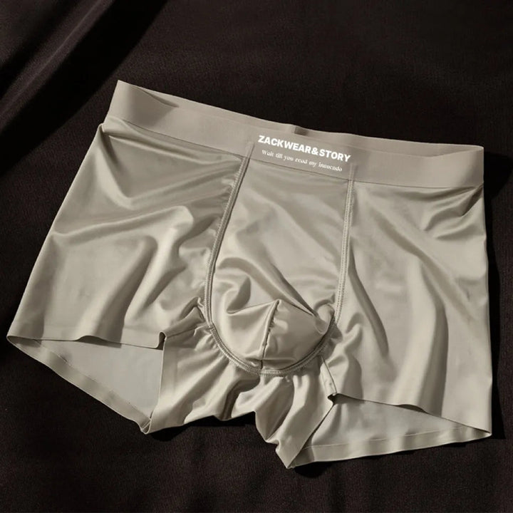 Zack Ice Silk Stretch Boxer Briefs