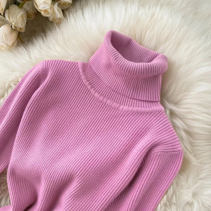 Belle Turtleneck Knitted Dress