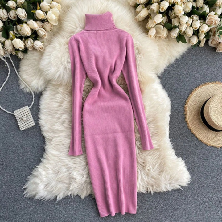 Belle Turtleneck Knitted Dress