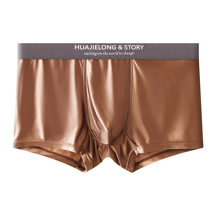 Zack Ice Silk Stretch Boxer Briefs