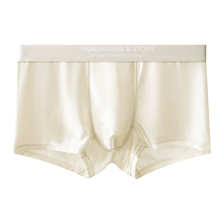 Zack Ice Silk Stretch Boxer Briefs
