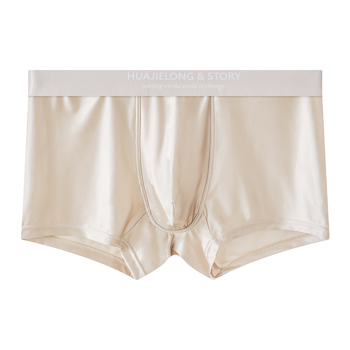 Zack Ice Silk Stretch Boxer Briefs